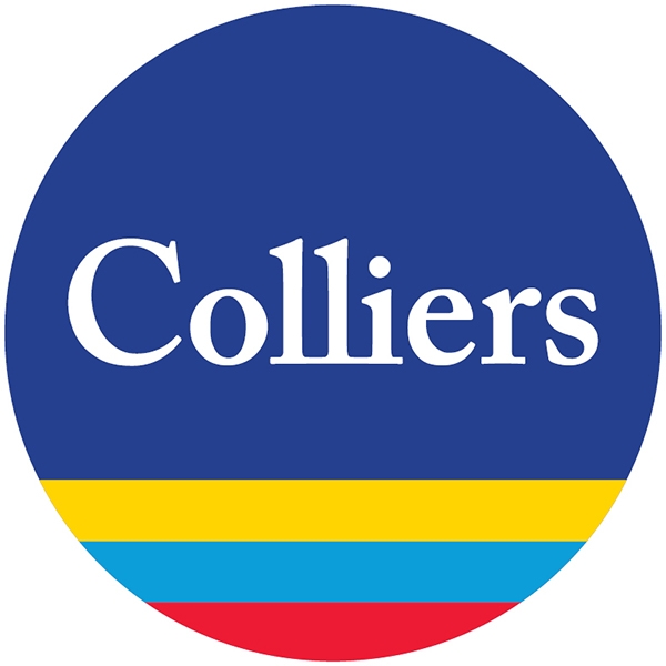Colliers Tauranga