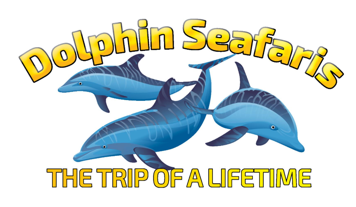 Dolphin Seafaris